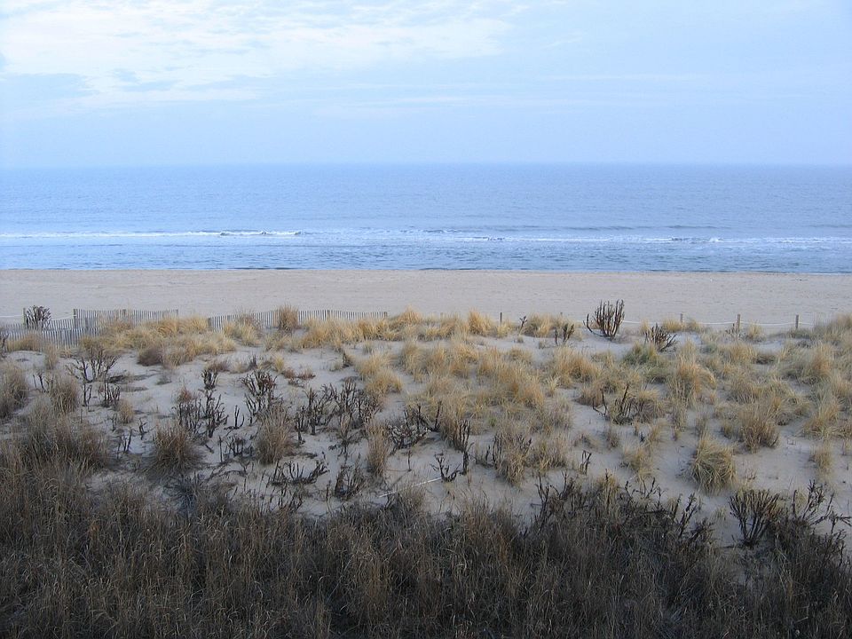 View from the balcony
