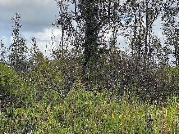 4th image of Ginger Ln Lot 15