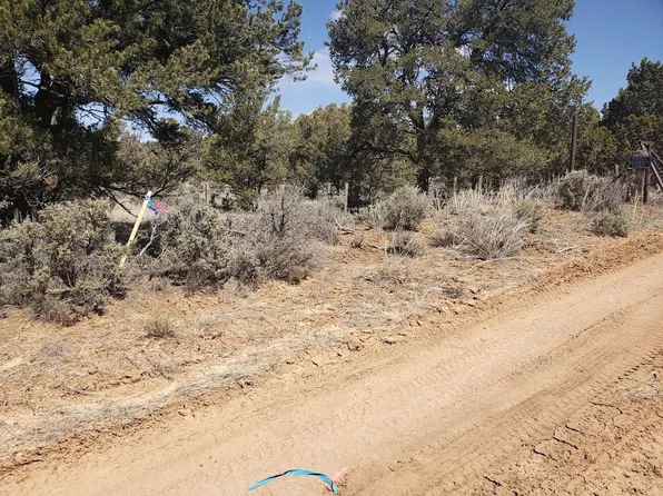 State Highway 595, Lindrith, NM 87029