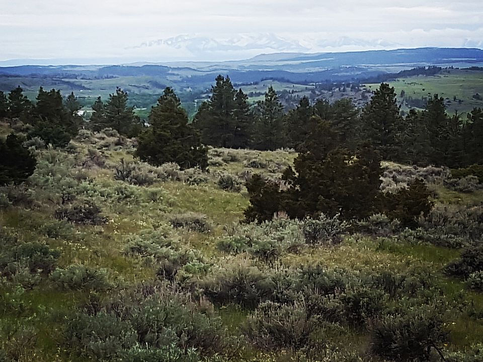 View to the North