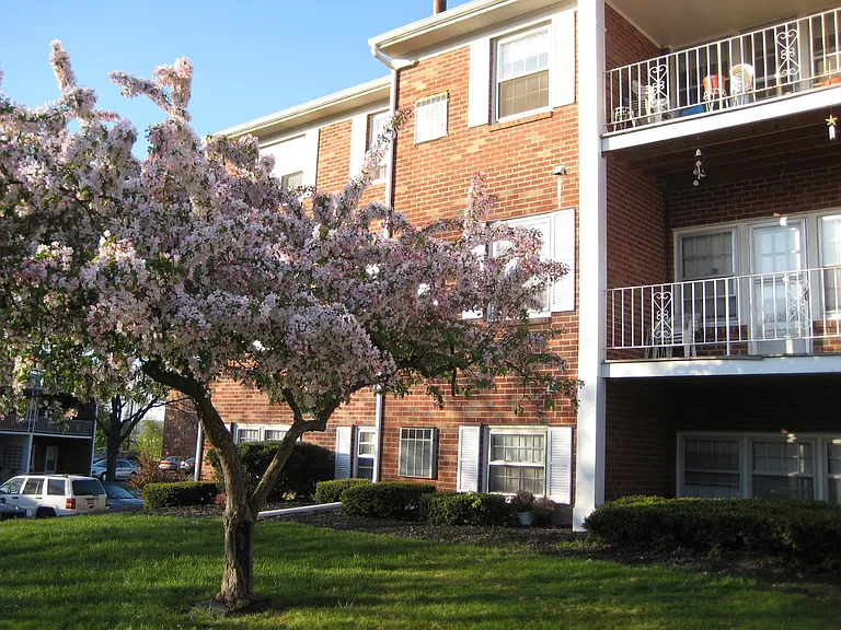 Park Hill Lane Apartments — Photo 10