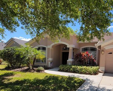 16106 Bridgedale Dr, Lithia, FL, 33547
