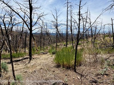 103 Mount Hood, Ruidoso, NM, 88345