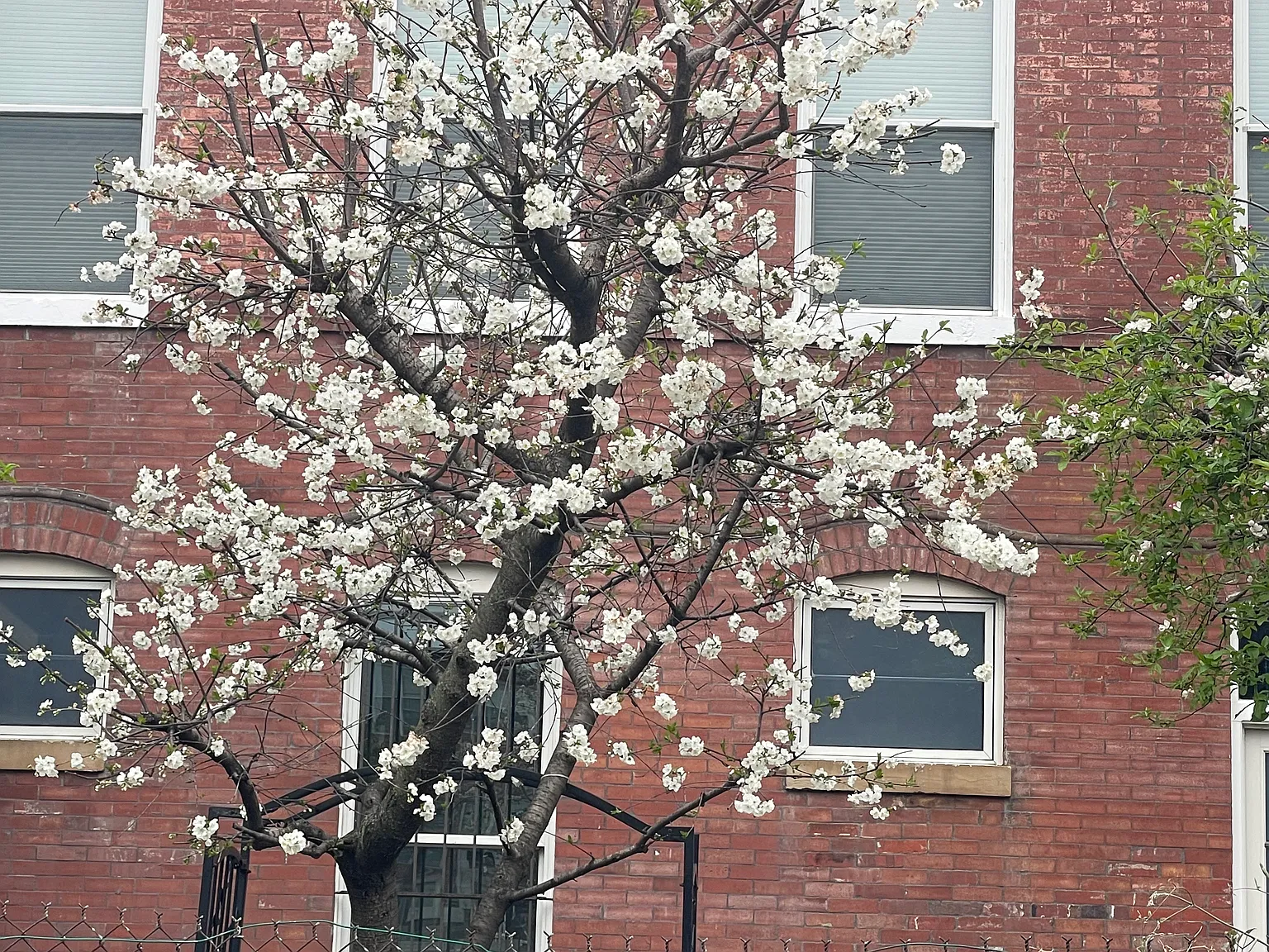 Florida Ave NW, Washington — Photo 3