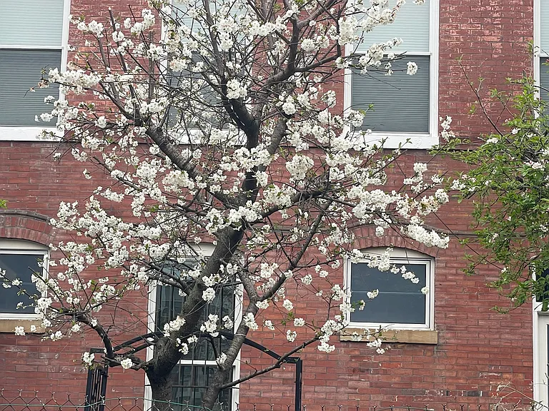 Florida Ave NW — Photo 3