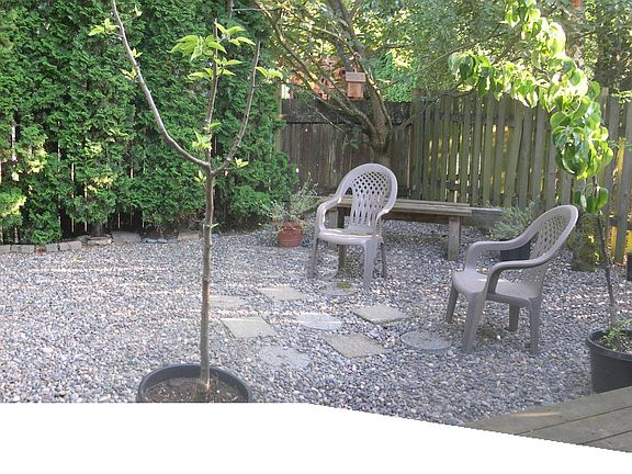 The Back Yard