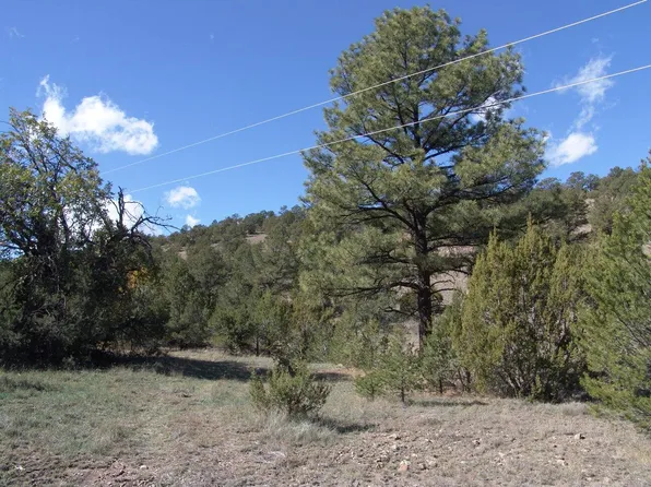 88 Ranch Rd, Datil, NM 87821