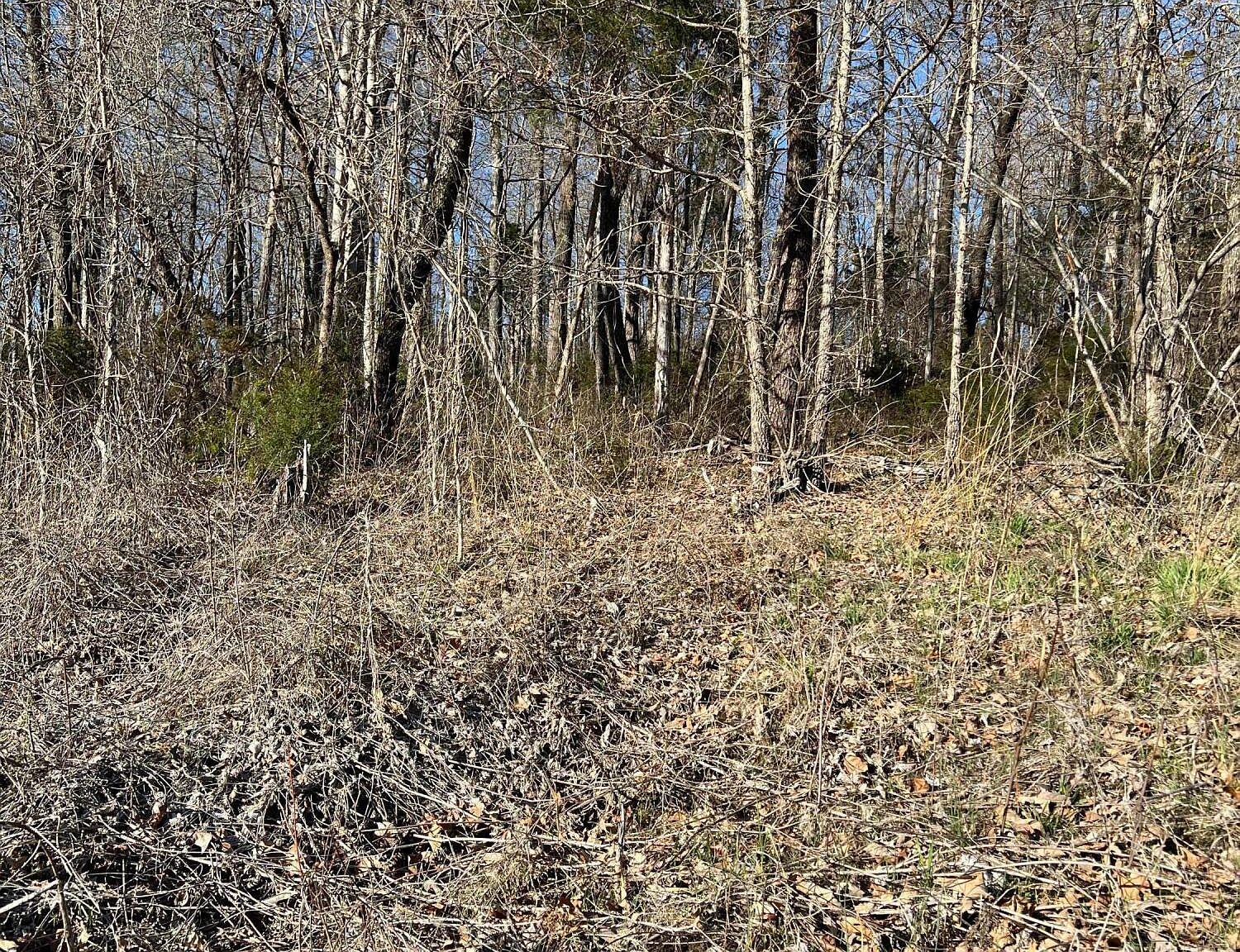 Tbd Powder Branch Rd, Johnson City, TN 37601 MLS 9936016 Zillow