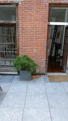 Rented by Immac Realty | media 7