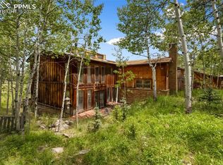 238 Forest Ln, Florissant, CO 80816