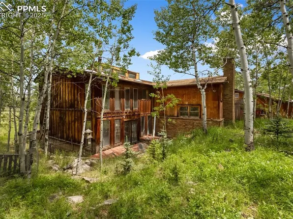 238 Forest Ln, Florissant, CO 80816