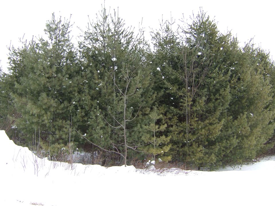 1st image of 1600 State Route 28n