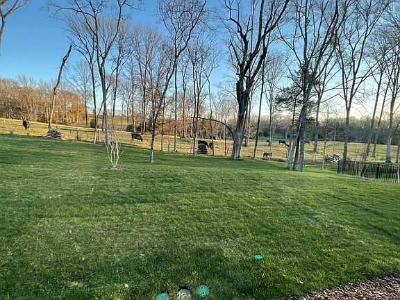 Backyard opens up to open space