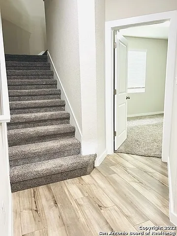 21518 James Charles — Photo 8
