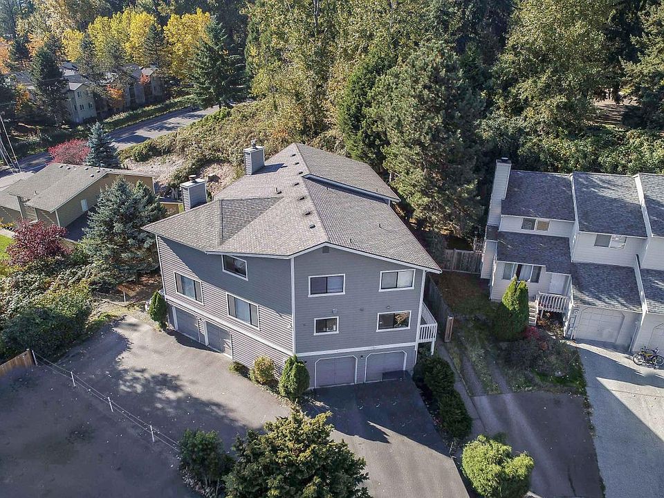 drone view
