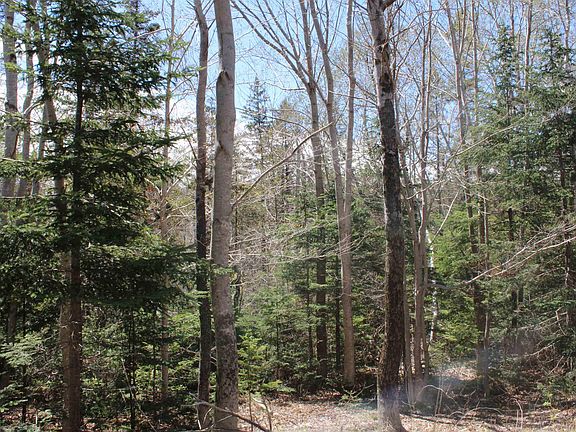 5th image of Mary Jane Riley Rd Lot 1