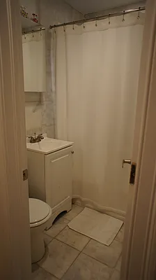 Rented by Big Apple Properties, LLC | media 16