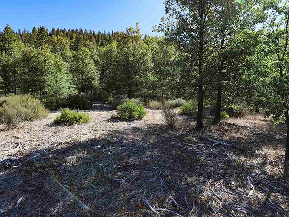3rd image of 9.2 Acres Spring Hill Dr