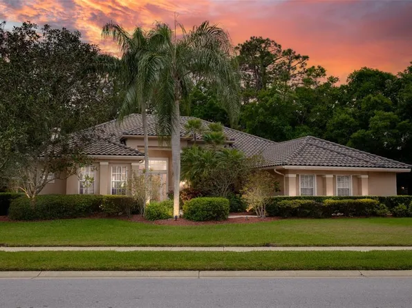 4974 Turtle Creek Trl, Oldsmar, FL 34677