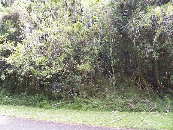3rd image of Manini St Lot 1171