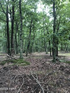187 Deer Trail Dr, Hawley, PA, 18428
