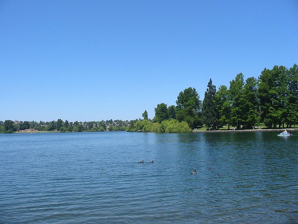 The Lake