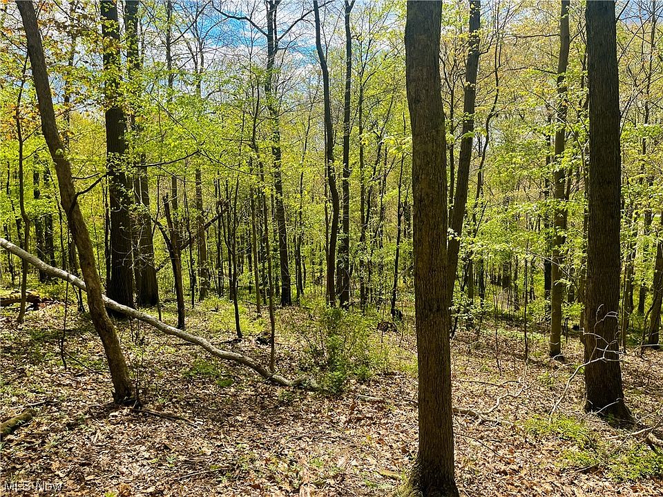 2nd image of 2733 County Road 967