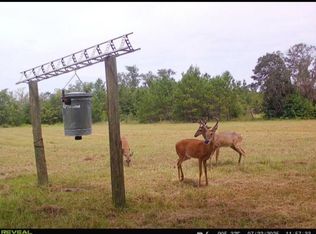 5001 NW Little Cat Rd, Madison, FL 32340