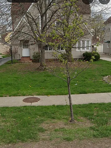 18523 Chagrin Blvd #LOWER Photo 1