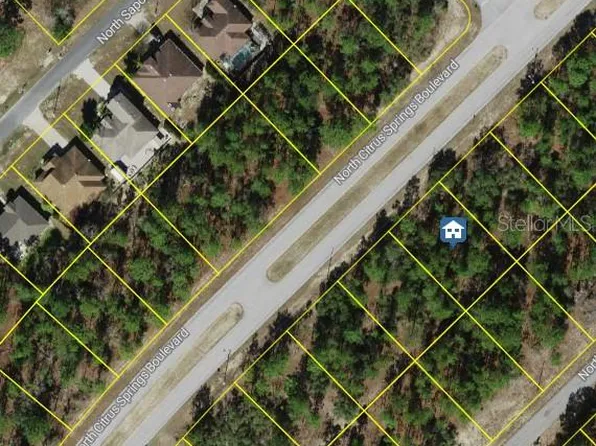 9209 N Citrus Springs Blvd #1100, Dunnellon, FL 34433
