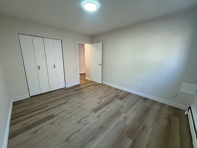 236 Louisa Street Kitchener — Photo 3
