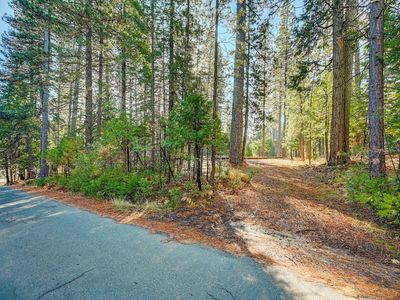 2235 Country Club Dr, Arnold, CA, 95223