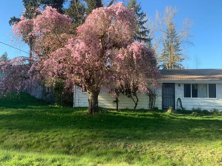 16336 SE 131st Pl — Photo 11