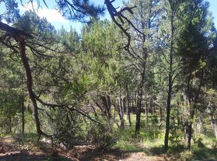 309 Swallow Dr, Ruidoso Downs, NM 88346