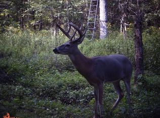 840 Pokeberry Rd, Sadieville, KY 40370