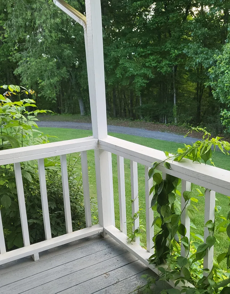 2 bed, 1050 sqft, $1,850 — Photo 4