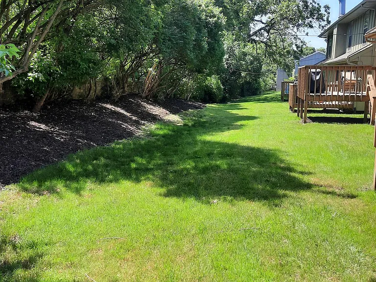Landlord maintains the Yard