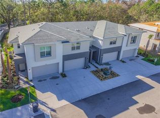 12809 Sanctuary Vista Trl #19, Tampa, FL 33625