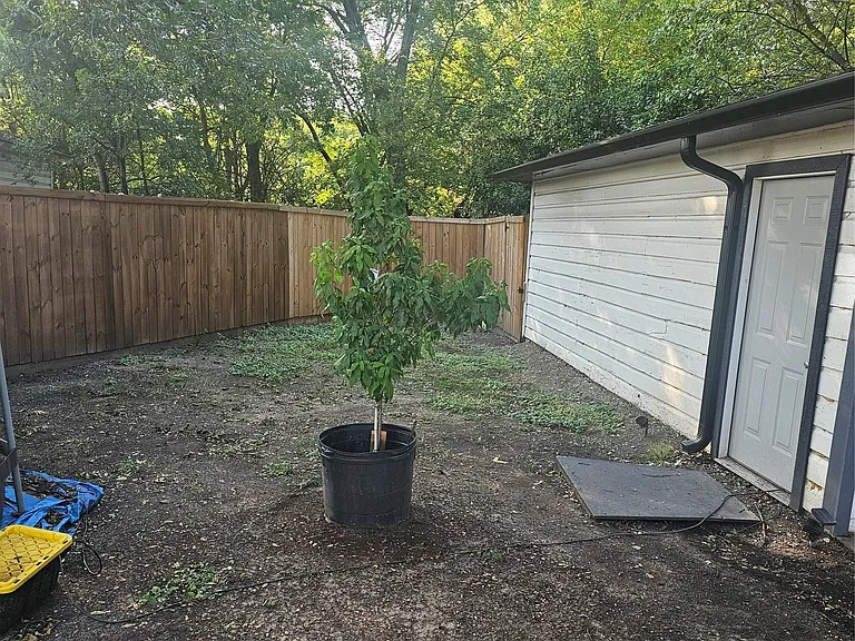View of fenced backyard