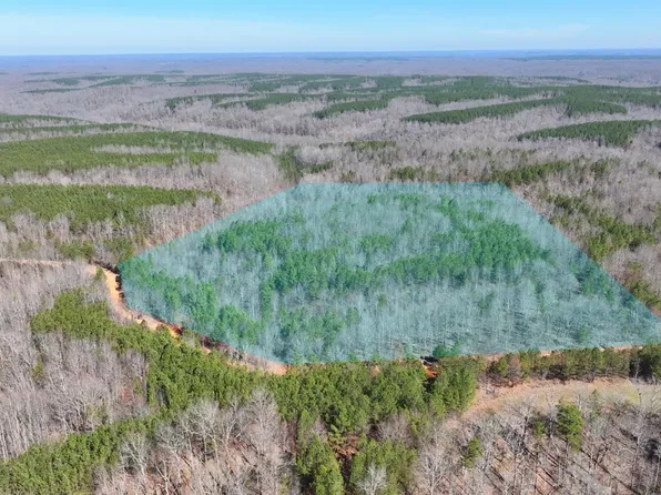 0 Old Mail Rd Lot 21, Duck River, TN 38454