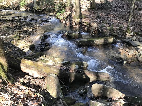 5th image of 543 Wilderness Way #543