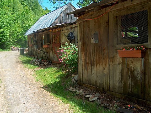 Backside of stalls and barn