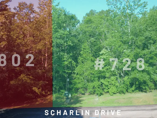 728 & 802 Scharlin Dr, Pickens, SC 29671