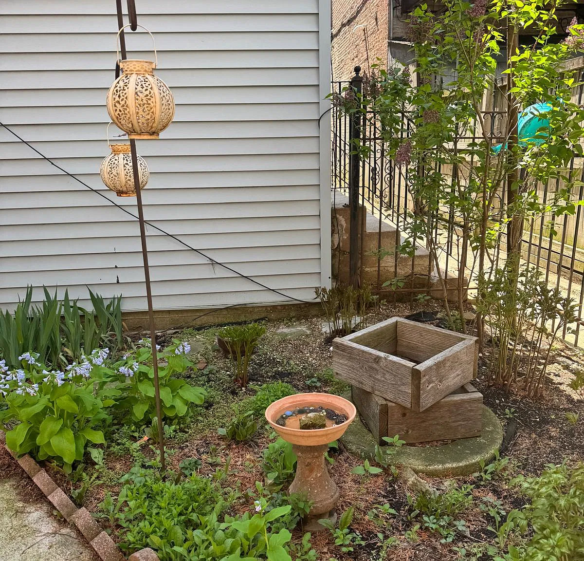 Studio, $1,900 — Photo 3