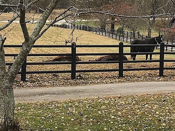 4th image of 5857 Cleveland Hwy