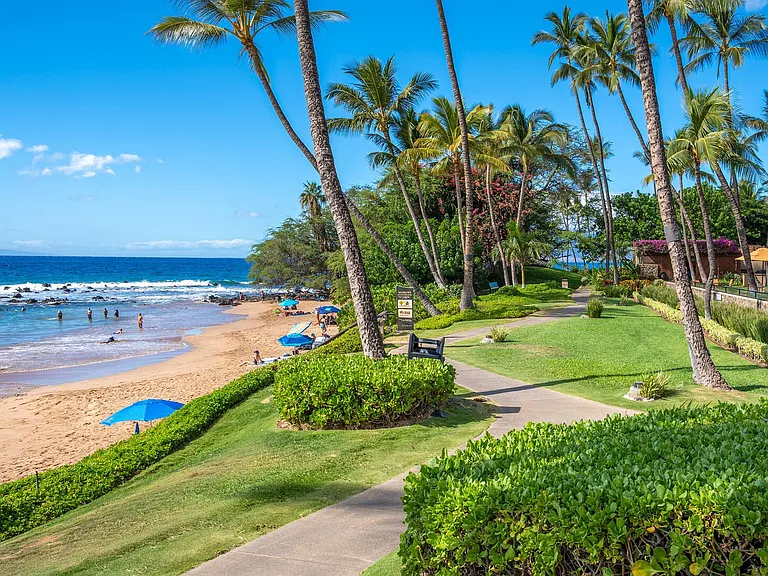 Wailea Alanui Dr — Photo 49