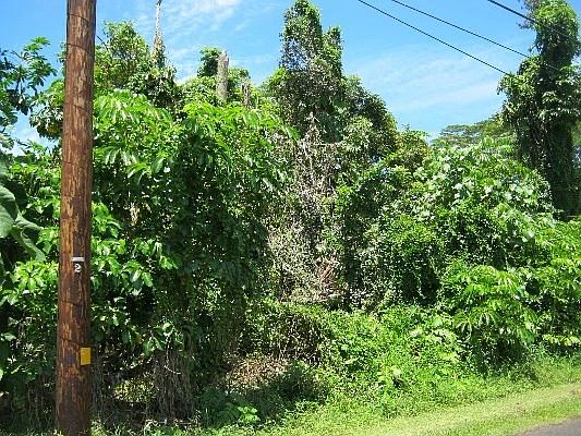 2nd image of S Malolo St