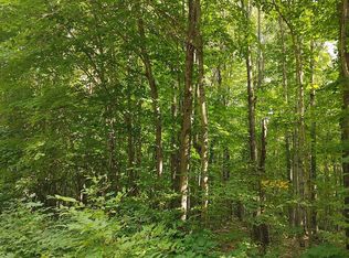 LOT 391 Forestview Cir, Elmira, MI