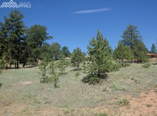 1057 Hackamore Dr, Florissant, CO 80816