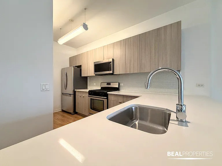 558 W Webster — Photo 76